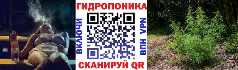 Магазины продажи наркотиков Заинск МАРИХУАНА  Псилоцибиновые грибы  Меф  kraken рабочий сайт  АМФЕТАМИН 