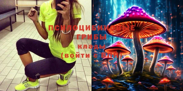 мдпв Сафоново